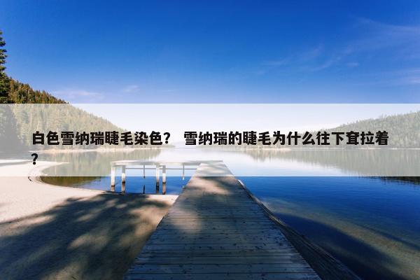 白色雪纳瑞睫毛染色？ 雪纳瑞的睫毛为什么往下耷拉着？