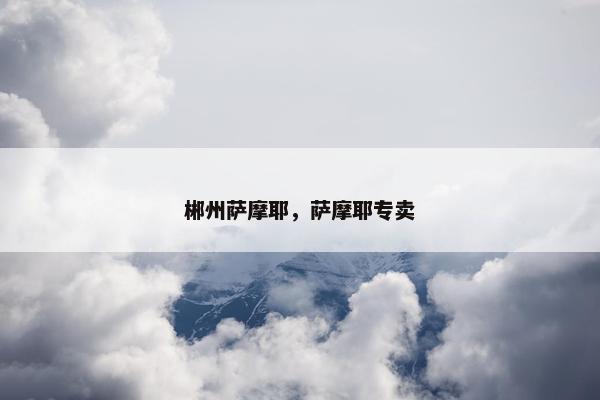 郴州萨摩耶，萨摩耶专卖