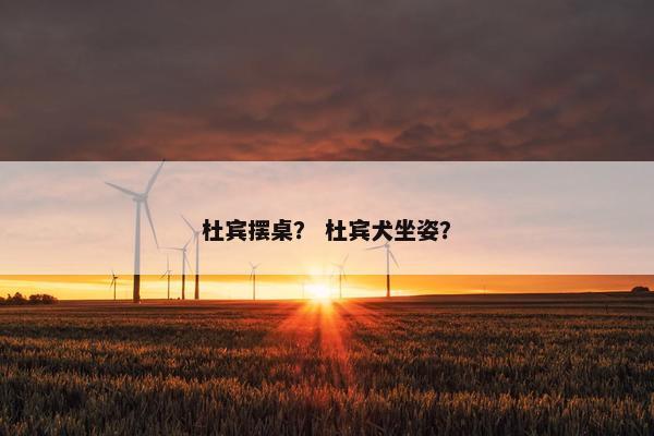 杜宾摆桌？ 杜宾犬坐姿？
