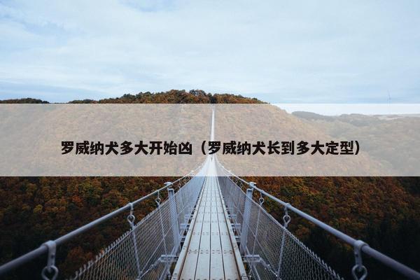 罗威纳犬多大开始凶（罗威纳犬长到多大定型）