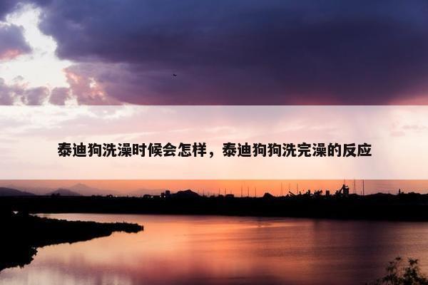 泰迪狗洗澡时候会怎样，泰迪狗狗洗完澡的反应