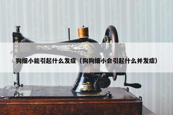 狗细小能引起什么发症（狗狗细小会引起什么并发症）