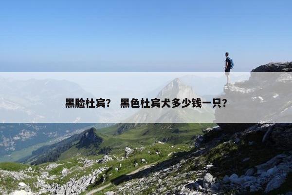 黑脸杜宾？ 黑色杜宾犬多少钱一只？