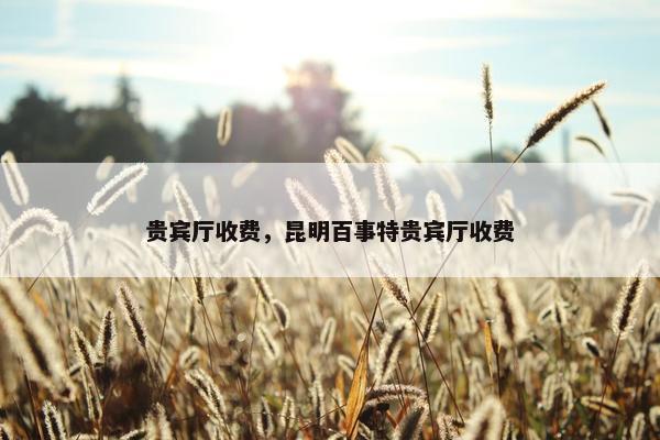 贵宾厅收费，昆明百事特贵宾厅收费