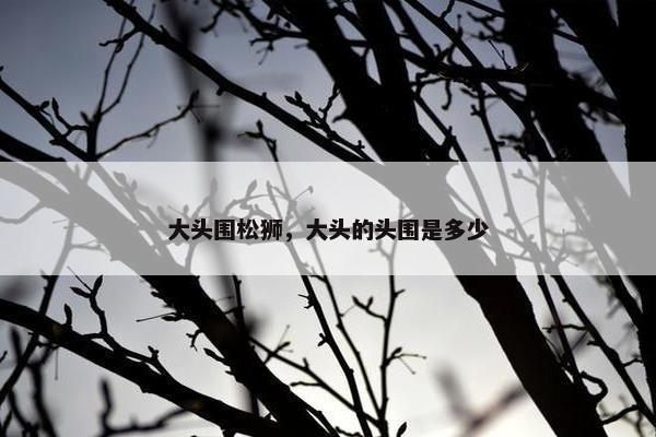 大头围松狮，大头的头围是多少