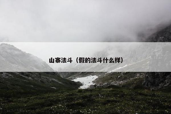 山寨法斗（假的法斗什么样）