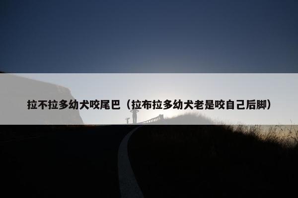 拉不拉多幼犬咬尾巴（拉布拉多幼犬老是咬自己后脚）