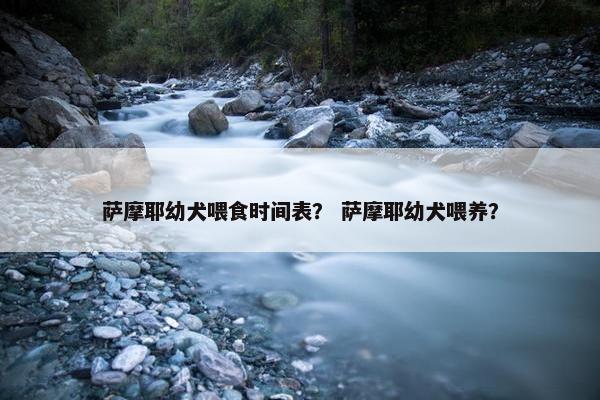 萨摩耶幼犬喂食时间表？ 萨摩耶幼犬喂养？
