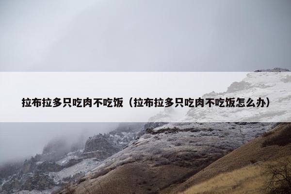 拉布拉多只吃肉不吃饭（拉布拉多只吃肉不吃饭怎么办）