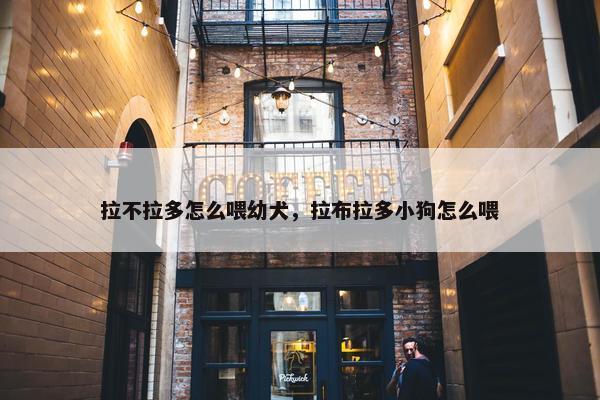 拉不拉多怎么喂幼犬，拉布拉多小狗怎么喂