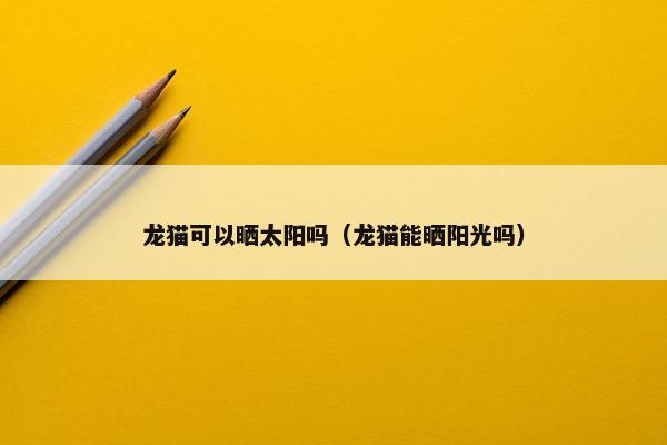 龙猫可以晒太阳吗（龙猫能晒阳光吗）
