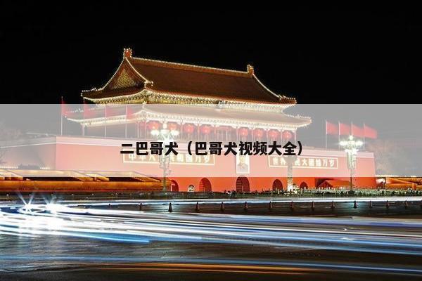 二巴哥犬（巴哥犬视频大全）
