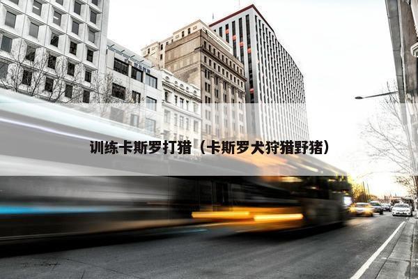 训练卡斯罗打猎（卡斯罗犬狩猎野猪）