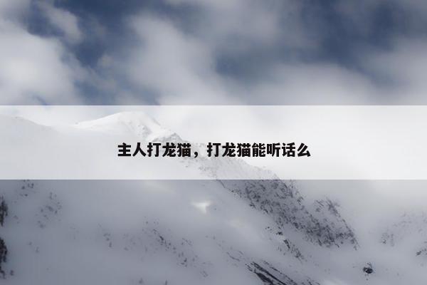 主人打龙猫，打龙猫能听话么