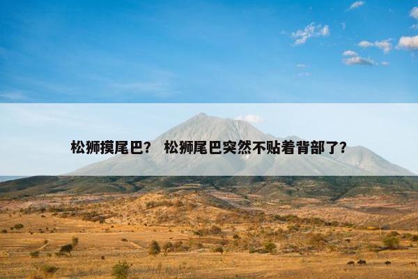 松狮摸尾巴？ 松狮尾巴突然不贴着背部了？