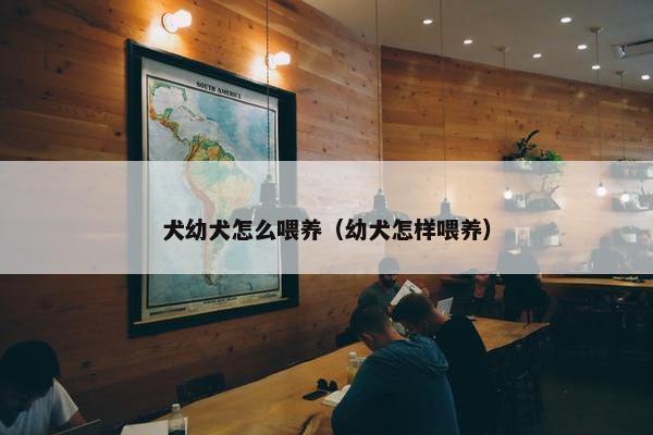 犬幼犬怎么喂养（幼犬怎样喂养）