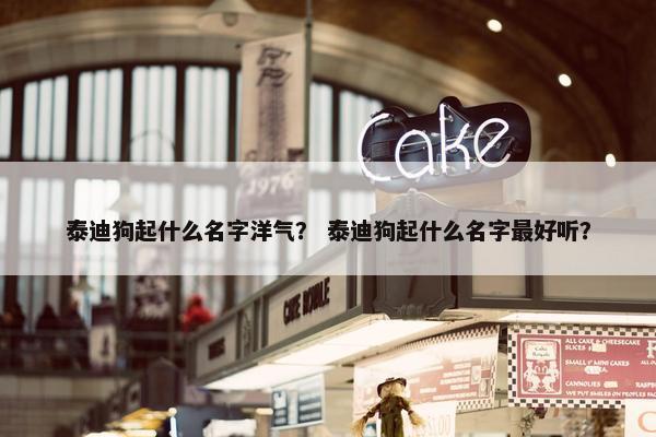 泰迪狗起什么名字洋气？ 泰迪狗起什么名字最好听？