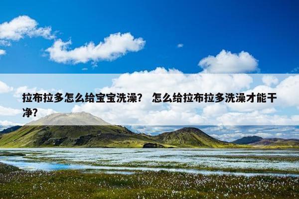 拉布拉多怎么给宝宝洗澡？ 怎么给拉布拉多洗澡才能干净？