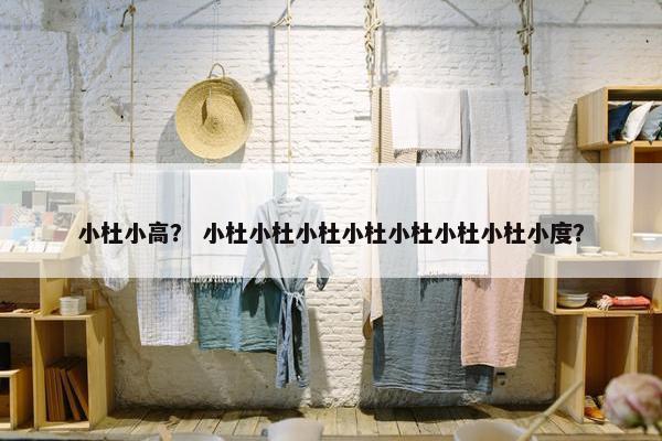 小杜小高？ 小杜小杜小杜小杜小杜小杜小杜小度？