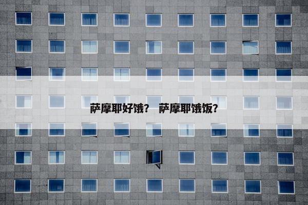 萨摩耶好饿？ 萨摩耶饿饭？