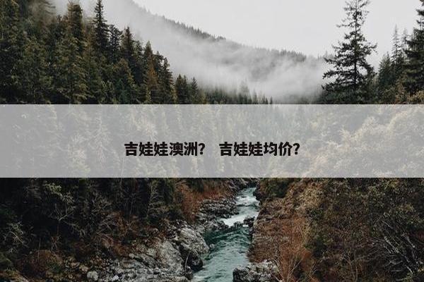 吉娃娃澳洲？ 吉娃娃均价？