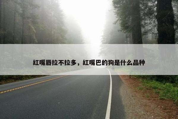 红嘴唇拉不拉多，红嘴巴的狗是什么品种