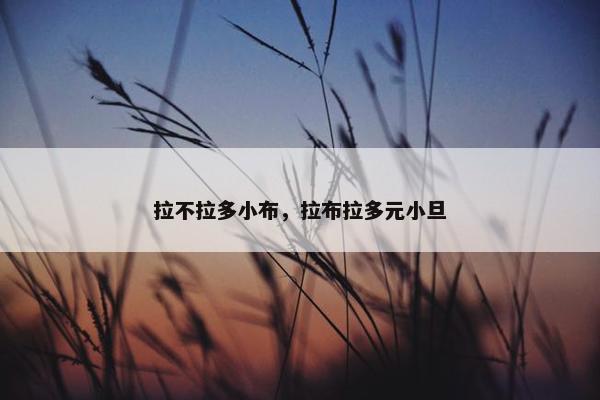 拉不拉多小布，拉布拉多元小旦