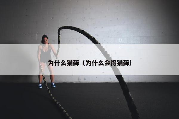 为什么猫藓（为什么会得猫藓）