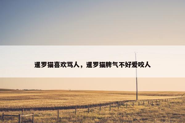 暹罗猫喜欢骂人，暹罗猫脾气不好爱咬人