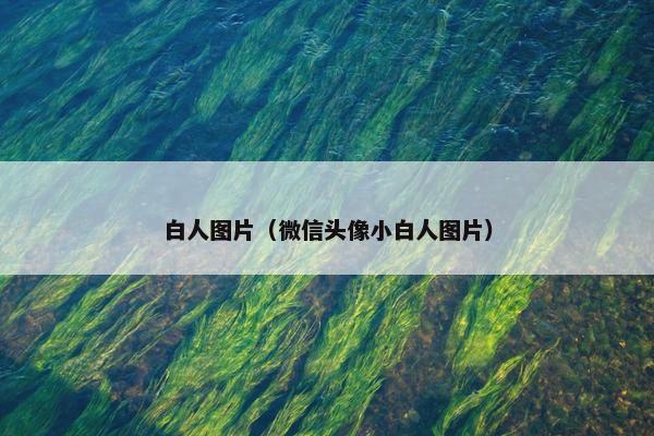 白人图片（微信头像小白人图片）