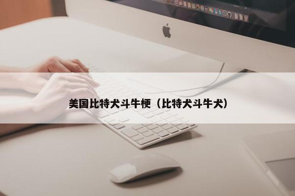 美国比特犬斗牛梗（比特犬斗牛犬）
