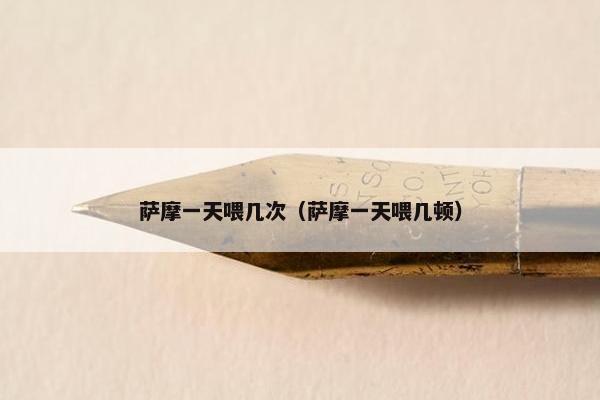 萨摩一天喂几次（萨摩一天喂几顿）