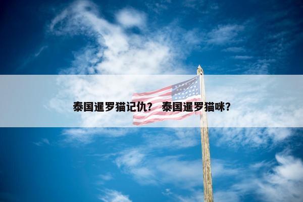 泰国暹罗猫记仇？ 泰国暹罗猫咪？