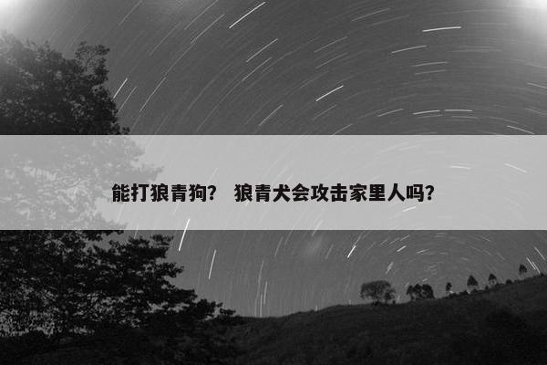 能打狼青狗？ 狼青犬会攻击家里人吗？