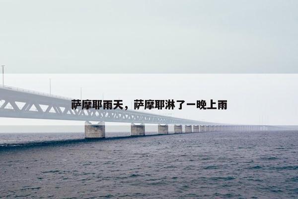 萨摩耶雨天，萨摩耶淋了一晚上雨
