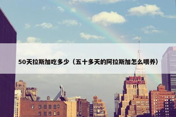 50天拉斯加吃多少（五十多天的阿拉斯加怎么喂养）