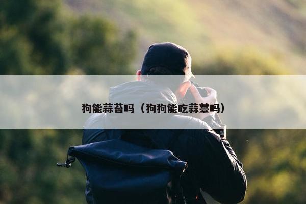 狗能蒜苔吗（狗狗能吃蒜薹吗）