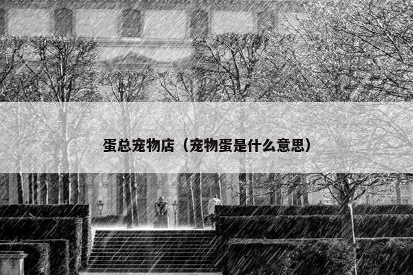 蛋总宠物店（宠物蛋是什么意思）