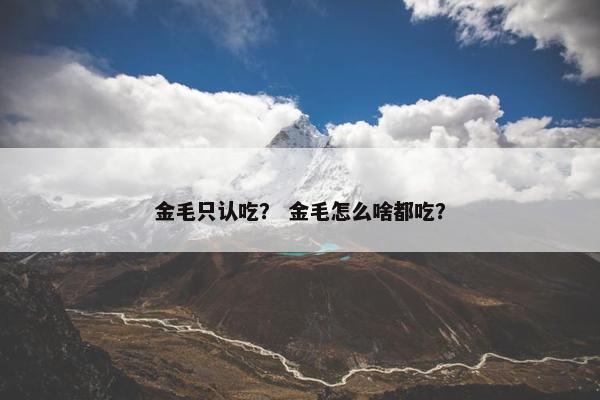金毛只认吃？ 金毛怎么啥都吃？