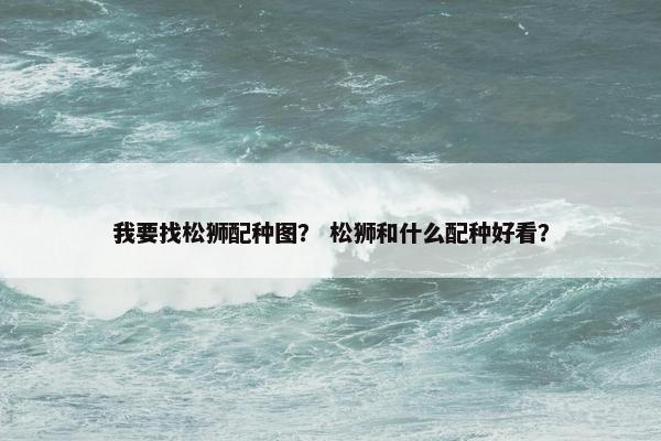 我要找松狮配种图？ 松狮和什么配种好看？