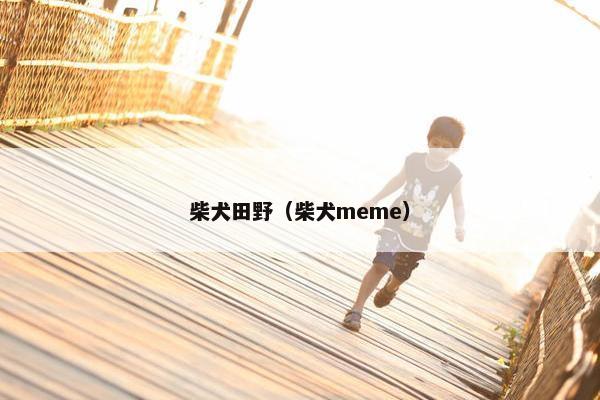 柴犬田野（柴犬meme）