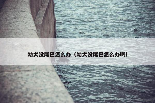 幼犬没尾巴怎么办（幼犬没尾巴怎么办啊）
