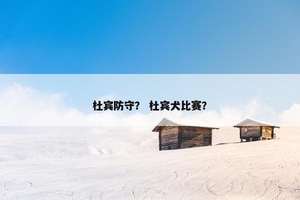 杜宾防守？ 杜宾犬比赛？
