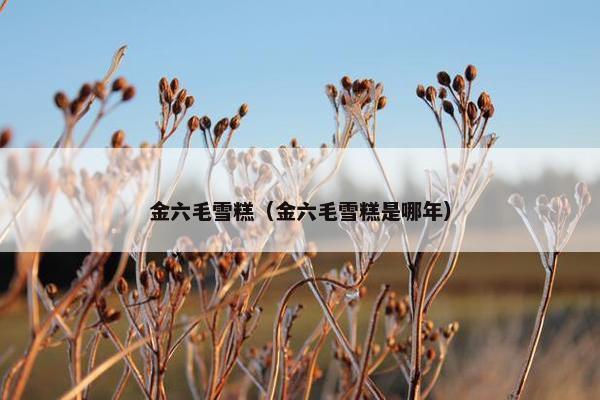 金六毛雪糕（金六毛雪糕是哪年）