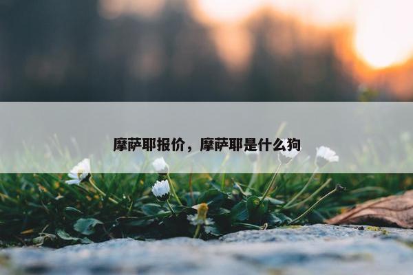 摩萨耶报价，摩萨耶是什么狗