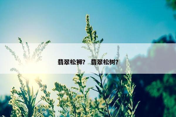 翡翠松狮？ 翡翠松树？