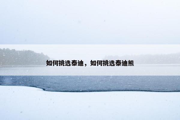 如何挑选泰迪，如何挑选泰迪熊