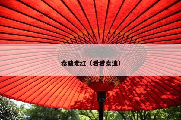 泰迪走红（看看泰迪）