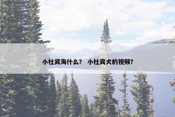 小杜宾海什么？ 小杜宾犬的视频？