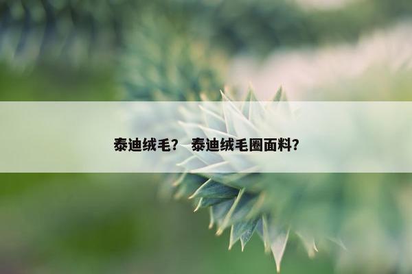 泰迪绒毛？ 泰迪绒毛圈面料？